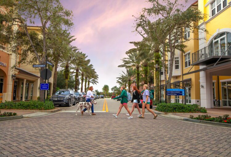 Ave Maria Town Center