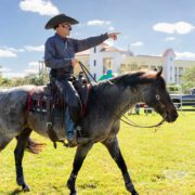 Blues, Brews & BBQ Festival