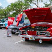 Margarita & Taco Festival