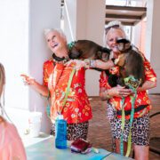 Margarita & Taco Festival