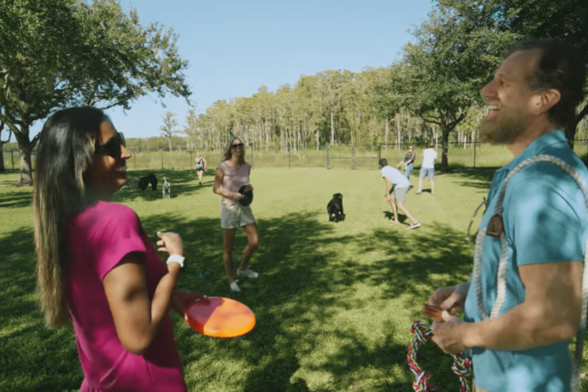 This Is Not A Dog Park