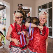 Margarita & Taco Festival