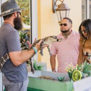 Margarita & Taco Festival